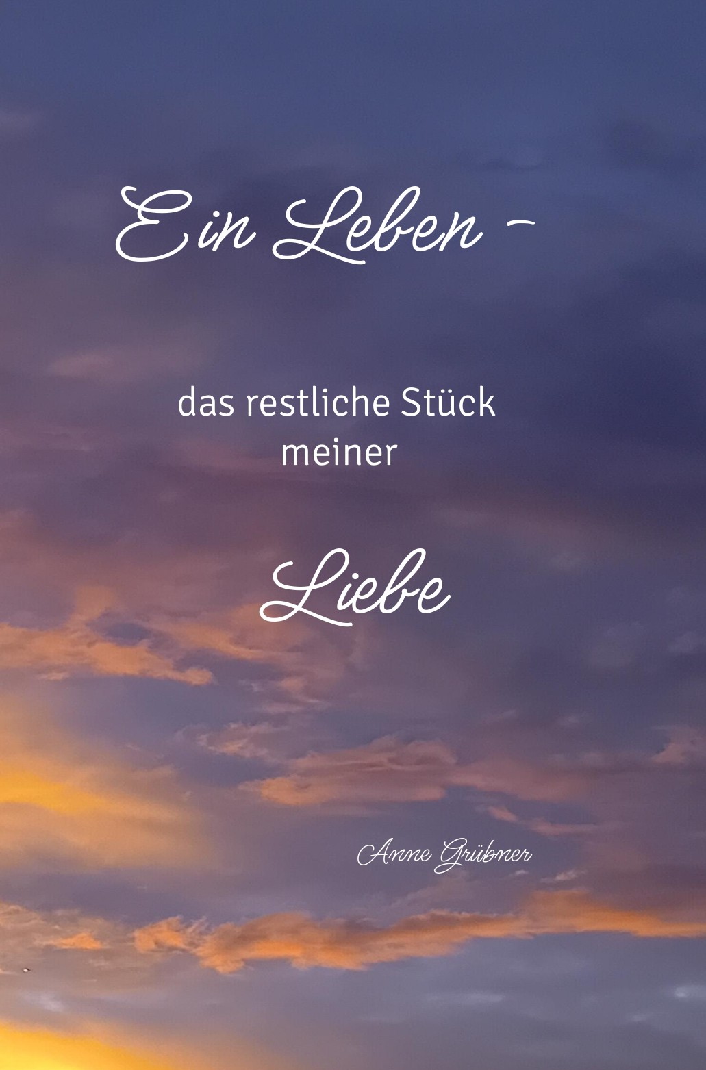 Cover: Ein Leben – das restliche Stück meiner Liebe von Anne Grübner